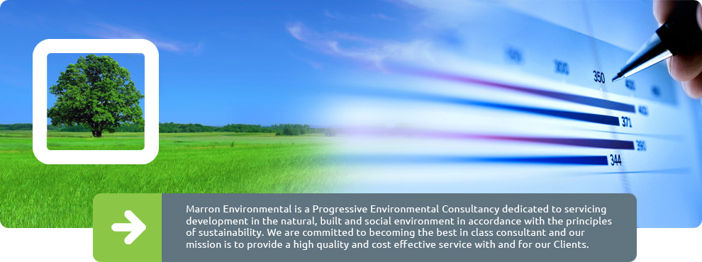 Marron Environmental